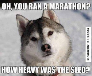 marathon-huskey